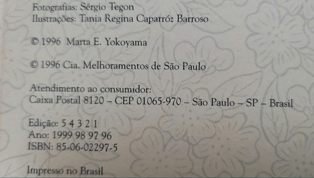 A cozinha chinesa.