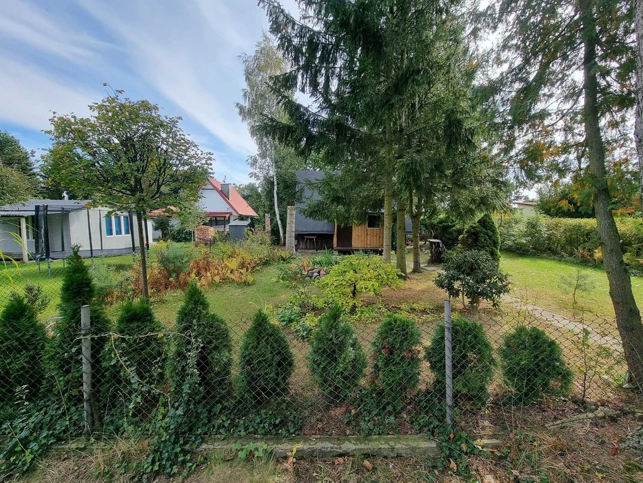 Działka ROD Kajetany – blisko Warszawy - Widok 6