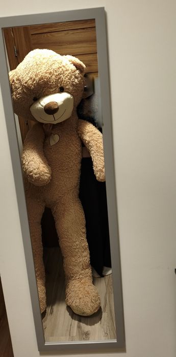 Duży pluszowy miś 180cm
