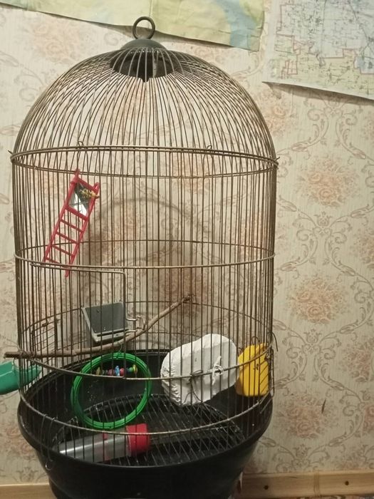 Клітка для тварин