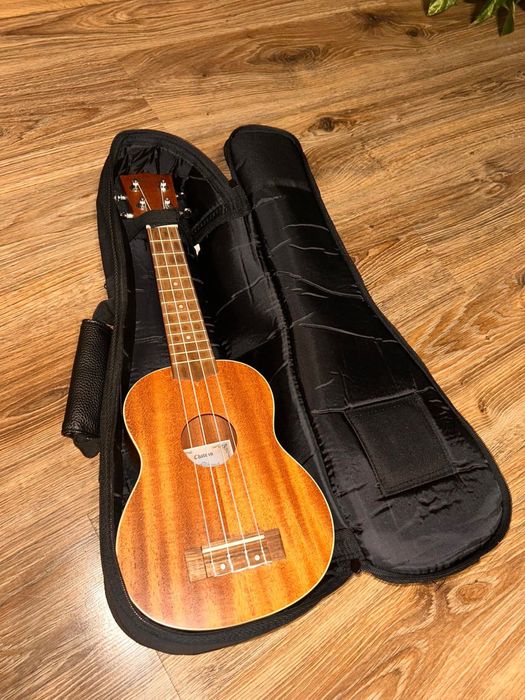 Ukulele z pokrowcem