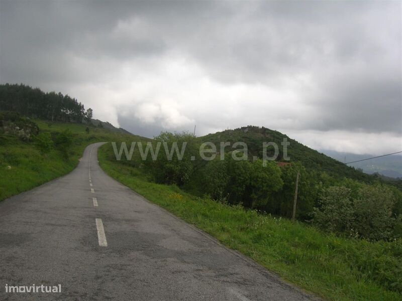 Quintinha / Marco de Canaveses, Penhalonga e Paços de Gaiolo