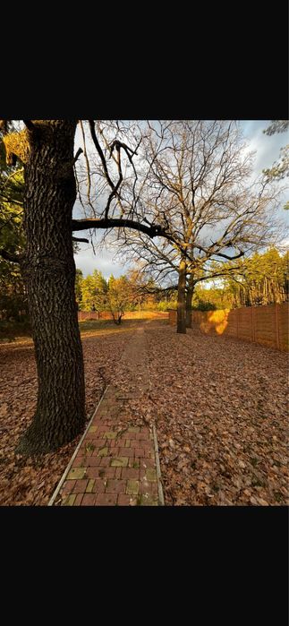Продам домовладение в Васищево элитный район лес речка