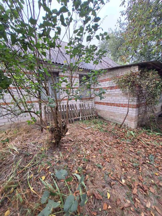 Продам будинок Київська обл.Фастівський р-н с Грузьке вул Брусилівська