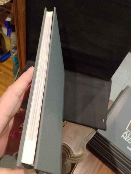 Cardeal Cerejeira - Joaquim Vieira