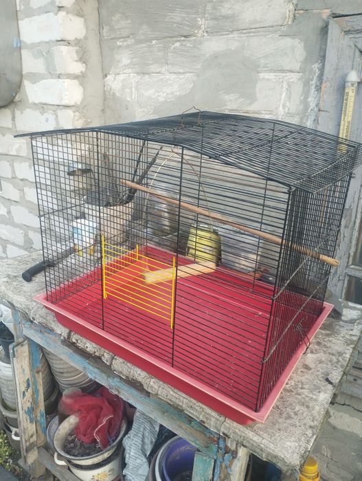 Продам клітку для папуг