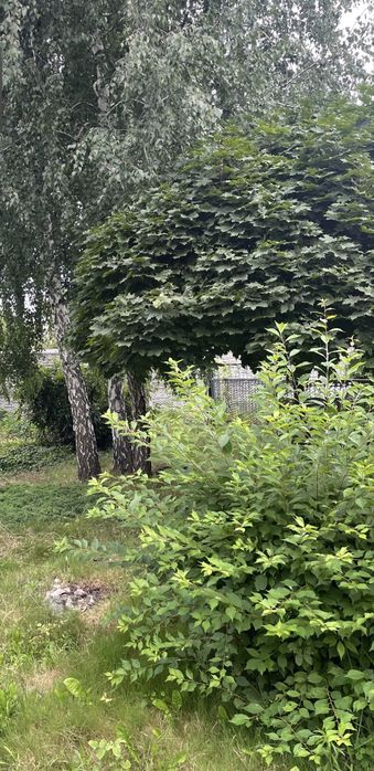 Продам дачу в Таромском
