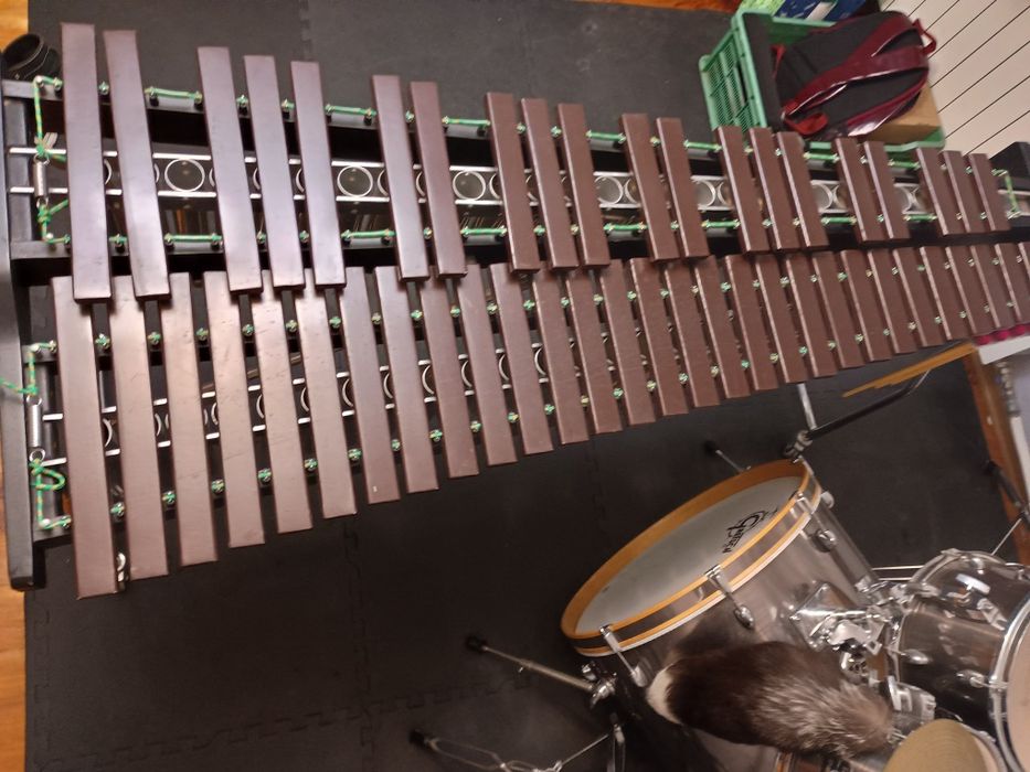 Ksylofon lewandowski