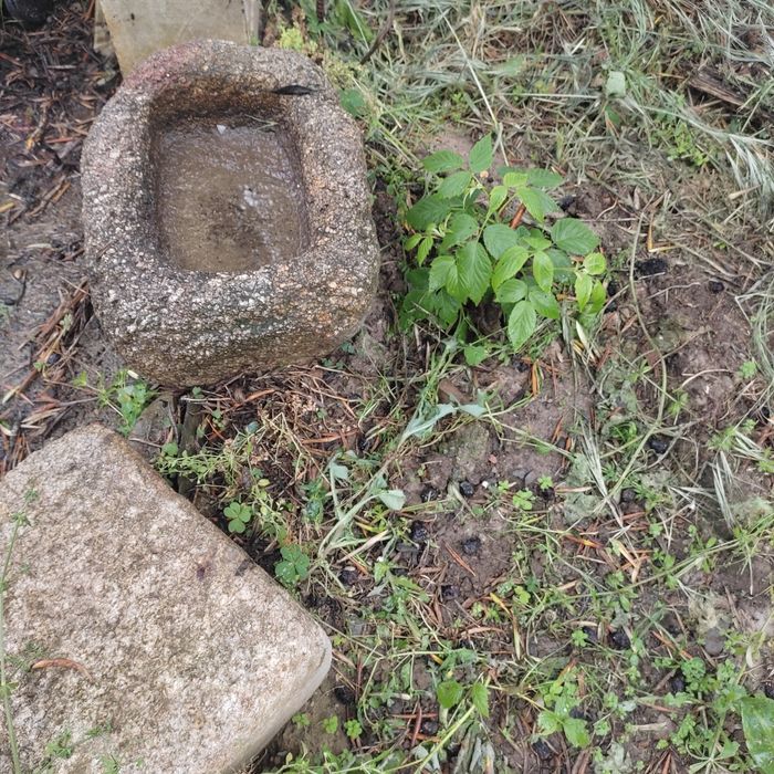 Pia antiga em granito