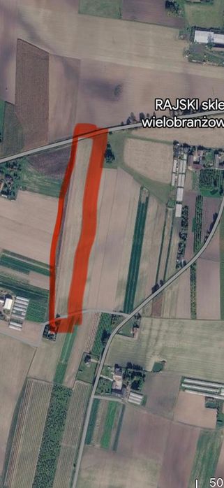 Na sprzedaż działka rolna 1,71h Rajsko - Widok 2
