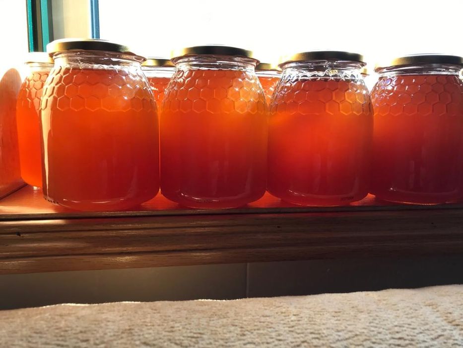 Mel de tras os montes -Pinelo - Vimioso (foto real)