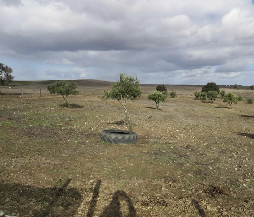 Terreno rústico com apoio agrícola em Aljustrel