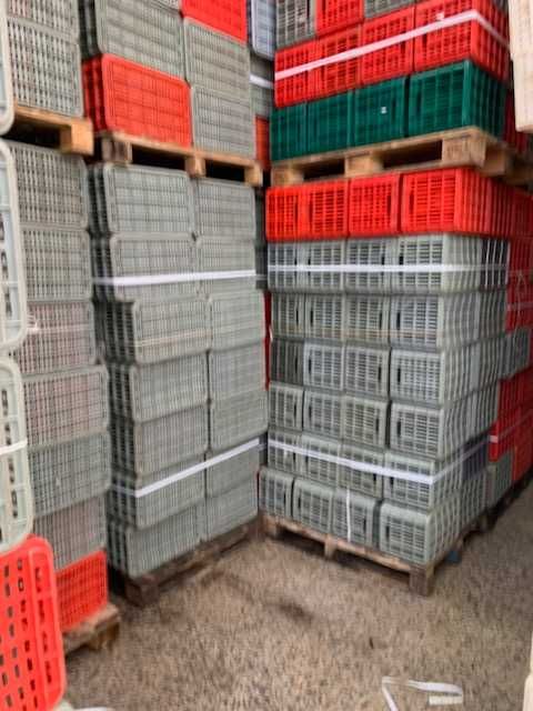 Caixas Plásticas 50x30x28