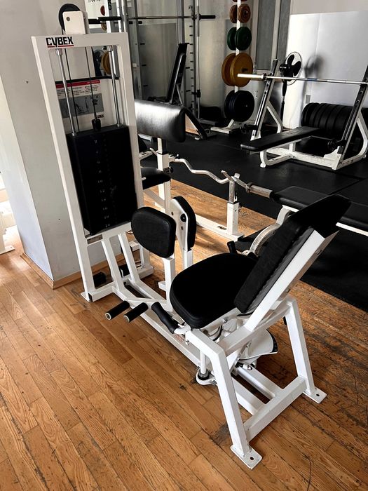 Wyposażenie siłowni komplet: Cybex, HES, TechnoGym, hantle 634 kg