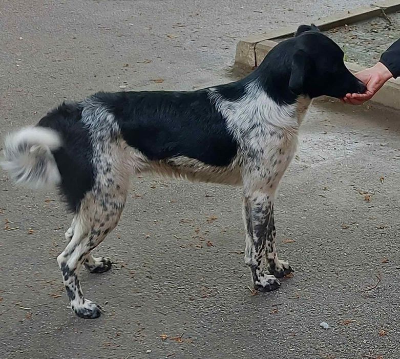 В класну родину!