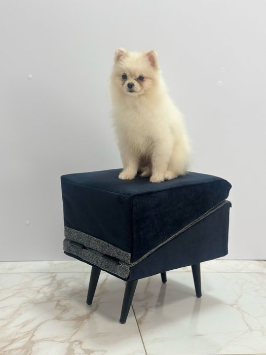 Пуф - пандус для тварин, пандус для собак