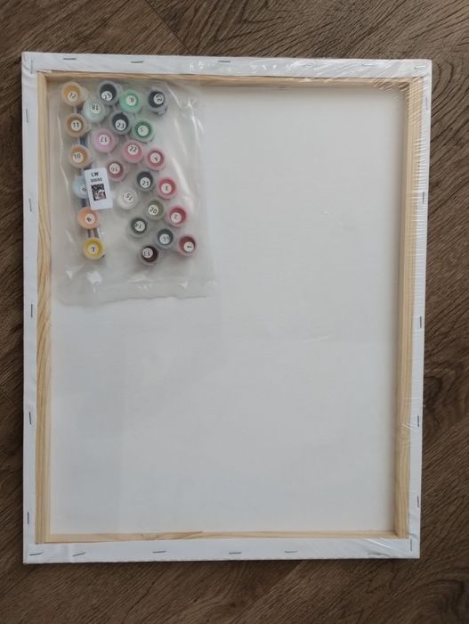 Картина по номерам Скрудж МакДак 40х50 LW 30050