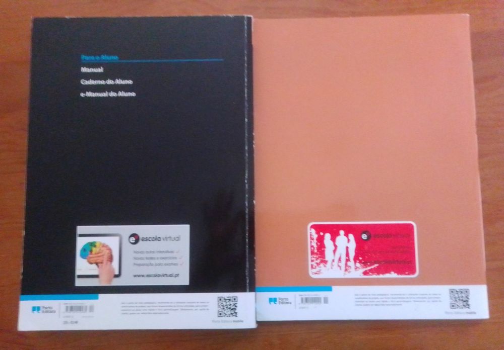 Manual + caderno de atividades, Razões de Ser 10
