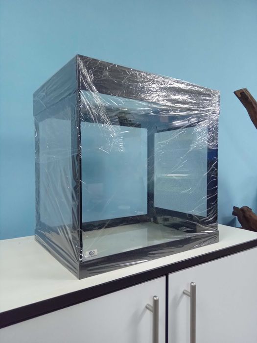 Інсектаріум для павуків, жабок