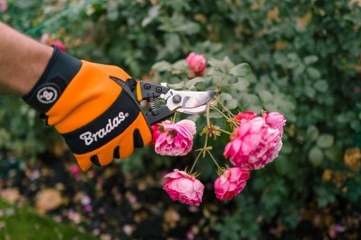 sekator nożyce do krzewów gałęzi kwiatów ogrodowy + rękawice