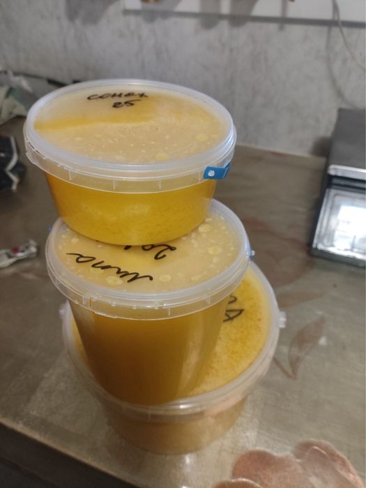 Мед ріпак сонях липа