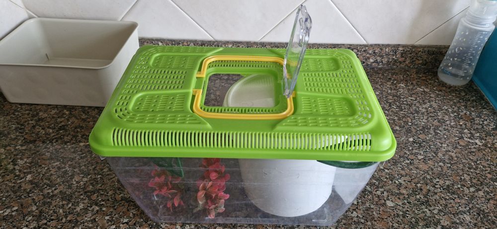 Aquário com acessorios