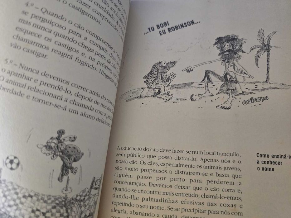 Guia Prático para Educar e Cuidar melhor do seu Cão