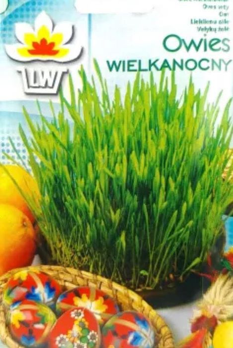 Źiarna owsa  0,5 kg