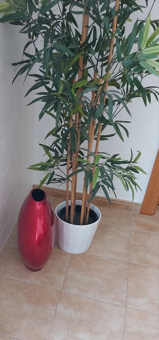 Vaso decorativo  interiores