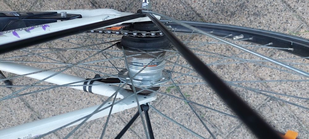 Rower damka marki Pegasus Arktis na kołach 28