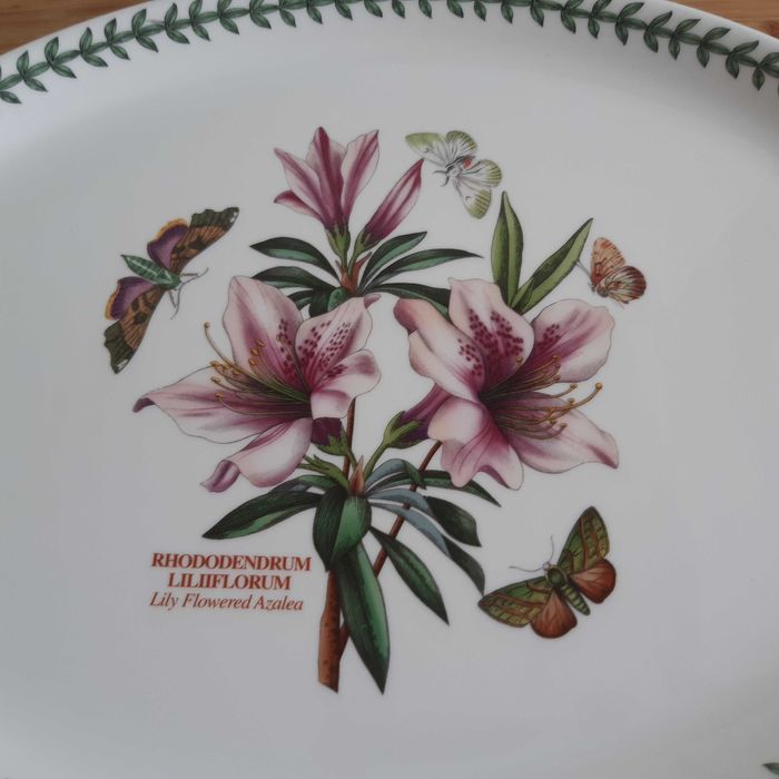Grande Travessa Oval Decor Borboletas Flores Portmeirion Fire&Ice Botanic Garden