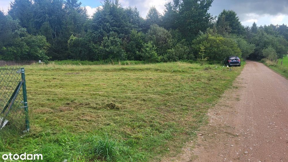 Działka Rybczyzna nad jeziorem Dręstwo - Widok 2