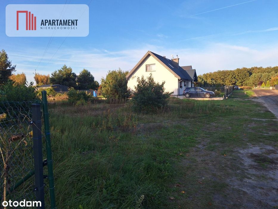 Działka Dębina spokojna okolica - Widok 3