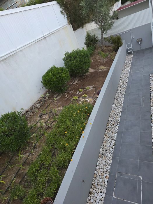 Pretende-se Serviço de Jardinagem em Oeiras