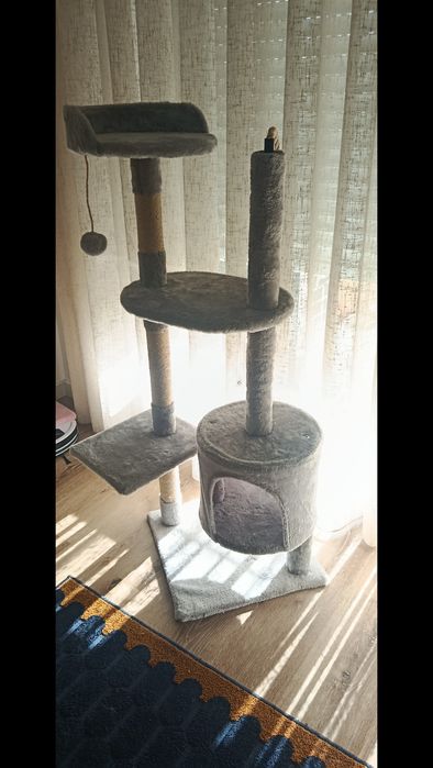 Arranhador de gato