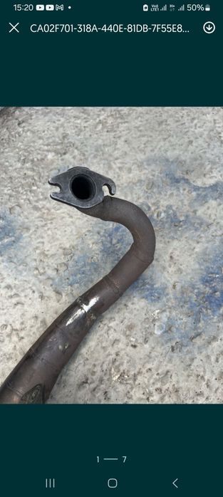 giannelli reverse horizont