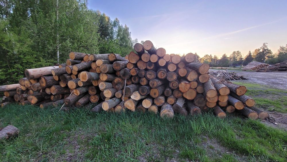 Drewno Dębowe w wałkach, w kawałkach, 2.5m