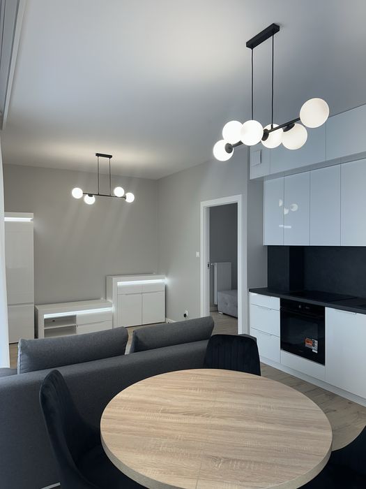 Mieszkanie do wynajęcia Apartamenty Zagajnikowa  Nowe Pierwszy najem Bałuty Górnicza Osiedle Jarzębinowe