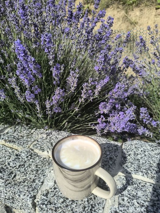 Відпочинок в Карпатах Mountain Dew