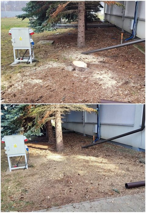 Usuwanie pni / frezowanie pni / karczowanie / frezarka Vermeer sc252