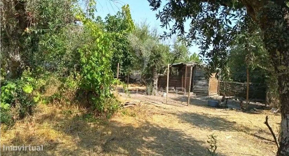 Quinta T4 no coração da Serra de S. Mamede, Portalegre