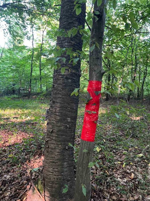Продається Приваблива Земельна Ділянка у Львівському районі, с.Наварія (10 сотих)!
