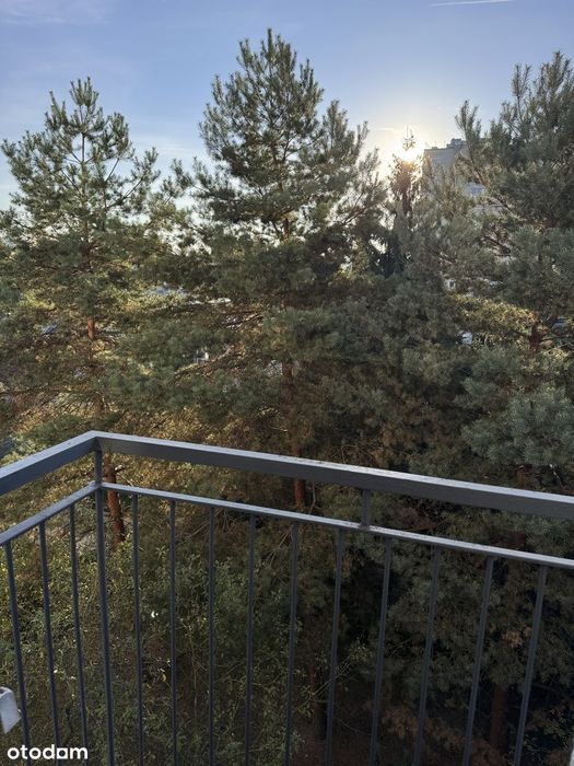 CENTRUM | 2 pokoje I Balkon I Widna kuchnia I Dofinansowanie do okien!