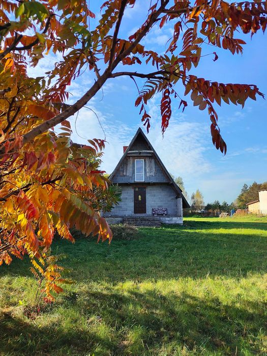 Działka w otulinie puszczy Kampinoskiej - Miszory - Widok 2