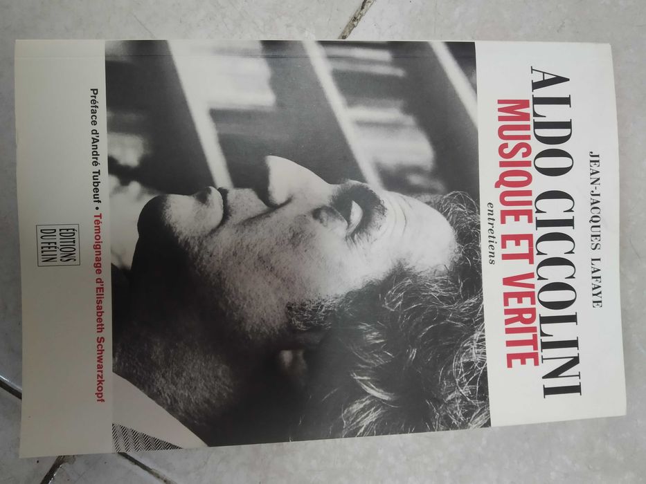 Livros  Manuel alegre Boris vien  palays Royal apanhadores de conchas