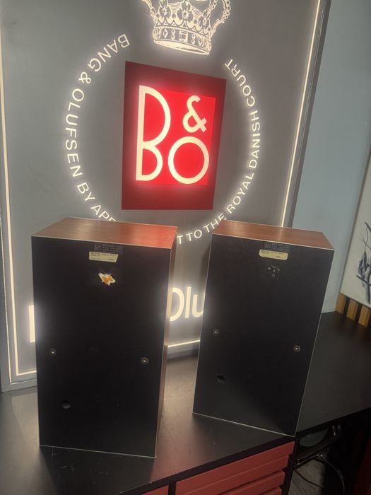 Bang Olufsen beovox S45