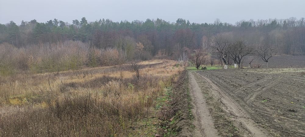 Будинок – Кагарлик - Вид 2