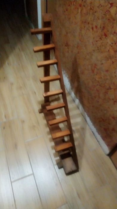 Сходинки для кота