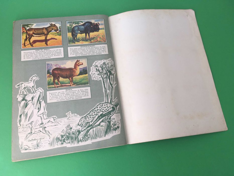 Rara Caderneta História Natural Completa anos 50 Editorial Ibis