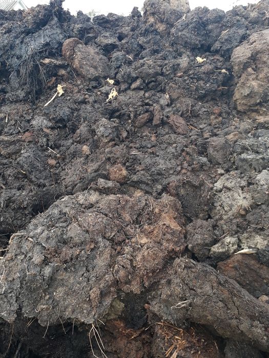 Перегной коровий есть в мешках .Чернозем.Доставка.любой обьем